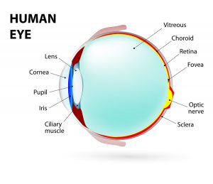 Eye Conditions – West Metro Ophthalmology Mn